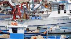 Rome approuve un projet de loi pour réduire le plastique en mer