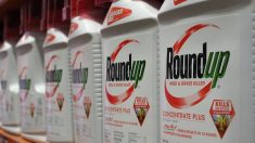 Roundup : le Vietnam interdit le glyphosate