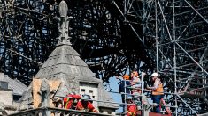 Incendie de Notre-Dame – Les échafaudeurs donnent leur version des faits : « La procédure a été respectée »
