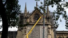 Notre-Dame de Paris : face aux nombreuses promesses de dons, plusieurs communes retirent leur participation