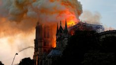 Émotion internationale alors que la cathédrale Notre-Dame de Paris est ravagée par un incendie