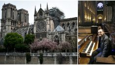 Incendie de Notre-Dame de Paris – Le témoignage bouleversant d’un organiste de la cathédrale : « Je suis effondré »