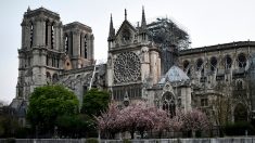 Incendie de Notre-Dame de Paris : trois éléments majeurs de la cathédrale sont toujours menacés