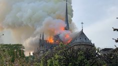 Un dramatique incendie ravage actuellement Notre-Dame de Paris  [Images]