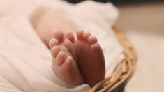 9 mois après la naissance d’un tout petit bébé de 310g, les médecins annoncent une nouvelle aux parents