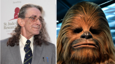 Peter Mayhew, l’acteur le Chewbacca de « Star Wars », est décédé