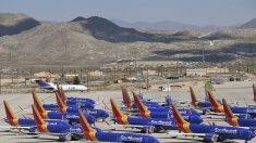 Boeing reconnaît des défauts dans les simulateurs de vol du 737 MAX