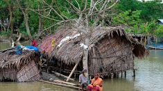 Le cyclone Fani, dont l’intensité a fortement faibli, fait 9 morts au Bangladesh