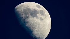 La Nasa prépare l’envoi d’équipements sur la Lune en 2020