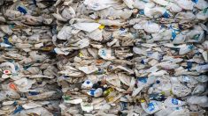 La Malaisie veut retourner à l’envoyeur des centaines de tonnes de déchets plastique importés