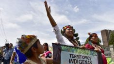 Équateur : première victoire d’une bataille des indiens Waorani contre l’exploitation du pétrole