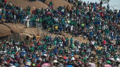 Afrique du Sud: licenciement de plus de 600 mineurs grévistes
