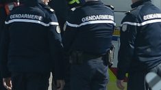 Paris : invasion de puces au commissariat du 19e arrondissement