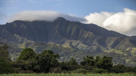 Une femme construit une mini-maison à Hawaï avec presque rien