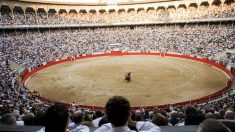 Un taureau tue un assistant de 60 ans dans une arène de corrida espagnole