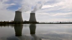Une ONG anti-nucléaire annonce une « contamination » radioactive de la Loire à Saumur – les seuils sanitaires sont en fait très loin d’être dépassés