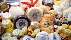 Tours : un plateau de 161 mètres de fromage et  952 variétés au Parc des expositions