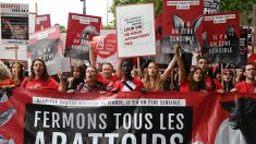«Fermons les abattoirs !»: défilé à Paris contre la maltraitance animale