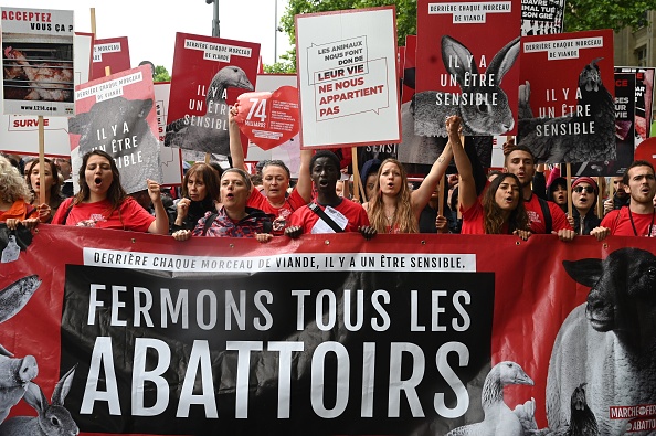 Manifestation sur la Place de la République à Paris le 8 juin 2019. (DOMINIQUE FAGET/AFP/Getty Images)