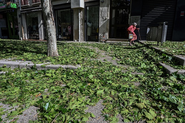 Le 16 juin 2019, une femme passe devant des feuilles de platanes tombées dans une rue de Romans-sur-Isère, dans le sud-est de la France, après une tempête qui a fait un mort dans le département de la Haute-Savoie et de lourds dégâts dans la Drôme. (Photo de PHILIPPE DESMAZES / AFP)