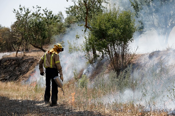 -Des pompiers tentent d'éteindre un incendie près de Flix le 27 juin 2019, l’incendie de forêt devient incontrôlable dans la région du nord-est de la Catalogne et a détruit plus de 6 500 hectares. Photo de PAU BARRENA / AFP / Getty Images.