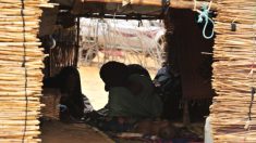 Massacre au Mali: le gouvernement soupçonne des « terroristes », bilan de 95 morts, 19 disparus et un village rasé
