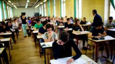 Rapport sur l’éducation : un jeune Français sur dix en difficulté de lecture, un sur 20 illettré
