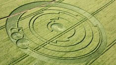 Val-d’Oise : de mystérieuses figures géométriques parfaitement alignées apparaissent dans un champ de blé
