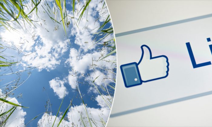(À gauche) Des nuages pris en photo depuis une prairie. (Silas Stein/AFP/Getty Images) | (à doite) Le bouton "j'aime" de Facebook. (Brendan Smialowski/AFP/Getty Images)