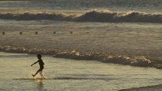 Toulon : une femme qui ne sait pas nager et un médecin présent par hasard sur la plage sauvent un enfant de la noyade