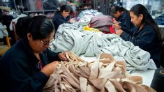La laine d’alpaga, fer de lance de l’industrie textile péruvienne