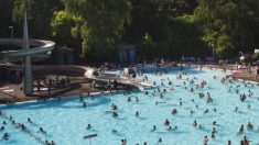 Essonne : des jeunes défèquent dans les bassins de la piscine municipale et provoquent l’évacuation de 1000 personnes