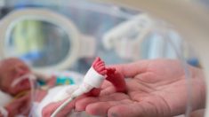 Un bébé né 14 semaines en avance a maintenant 3 ans – un véritable miracle de la vie