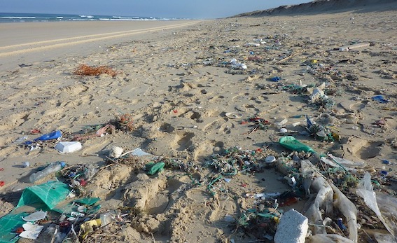 Le plastique représente plus de 60% des déchets.(Photo d'illustration : Pixabay)