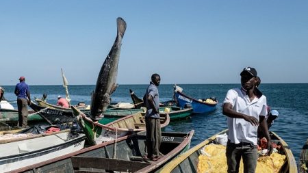 L’Ouganda renonce à un barrage hydroélectrique proche des chutes Murchison