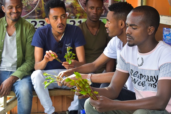 -Ousman Abdulahi et ses amis mâchent du khat dans un magasin situé au bord de la route dans la région de Little Mogadishu à Addis-Abeba le 23 juillet 2019. Photo MICHAEL TEWELDE / AFP / Getty Images.