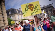 L’usine Bayer-Monsanto bloquée par plusieurs organisations altermondialistes dans les Landes