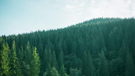 Un vieux chalet oublié de tous et miraculeusement préservé, se révèle être un portail vers une autre époque