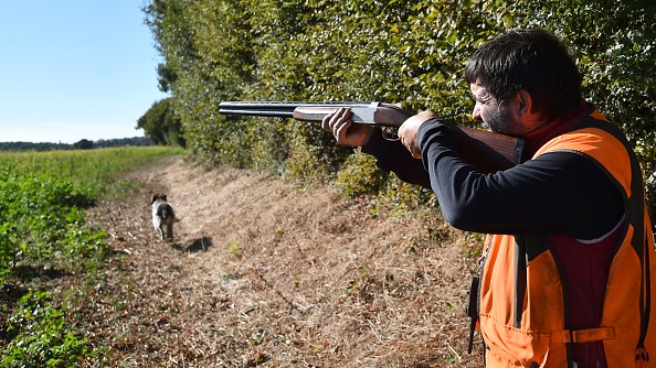 Ce dimanche 8 septembre, ouverture de la chasse. (Photo : JEAN-FRANCOIS MONIER / AFP)       