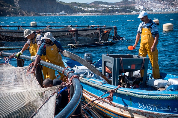-Les pêcheurs travaillent dans une pisciculture au large de la ville marocaine de M'diq, le 3 octobre 2019. Alors que les stocks de poissons diminuent en Méditerranée, les pêcheurs marocains en difficulté espèrent se tourner vers l'aquaculture pour assurer leur avenir. Photo par FADEL SENNA / AFP via Getty Images.