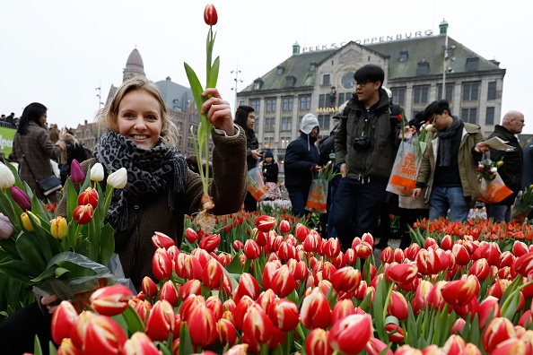 -Les gens choisissent des tulipes gratuites lors de la Journée nationale des tulipes le 20 janvier 2018 sur la place du Dam à Amsterdam. La Journée des tulipes marque le début de la saison internationale des tulipes. Photo BAS CZERWINSKI / AFP / Getty Images.