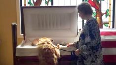 Ce chien se penche sur le cercueil de son propriétaire bien-aimé – sa façon de dire au revoir émeut tout le monde