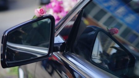 Bourgoin-Jallieu : le cortège dégénère pendant un mariage communautaire turc, la police dresse une quarantaine de PV