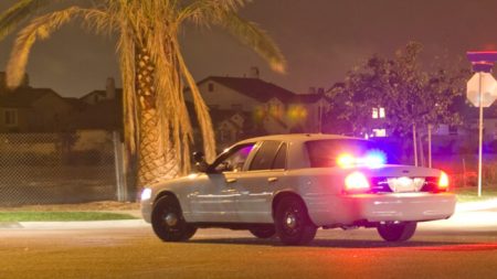 Des policiers prennent soin de 2 pitbulls blessés sur la route à 4 h du matin en les câlinant jusqu’à l’arrivée des services vétérinaires