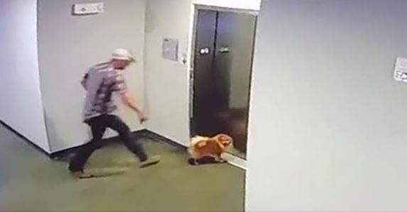 Une vidéo montre un homme sauvant le chien d’une voisine alors que sa laisse s’est coincée dans les portes d’un ascenseur