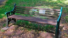 Une femme se retrouve seule sur un banc et invente des « bancs de discussions » pour lutter contre l’isolement social