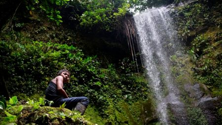 Equateur: l’école en forêt pour les enfants des paysans sans terre