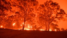 Incendies en Australie: des milliers de personnes prises au piège sur des plages