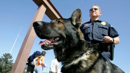 Les chiens policiers du Texas à la retraite pourront être adoptés par leurs maîtres-chiens, selon un nouveau projet de loi