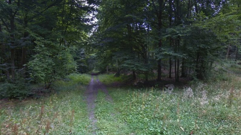 Vue de la forêt domaniale de Retz, où le corps sans vie de la jeune femme a été retrouvée le 16 novembre. Crédit : Google Maps.